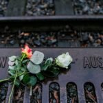 Predarea noțiunilor despre Holocaust în mediul online