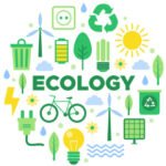 Cum aducem Educația Ecologică în școală